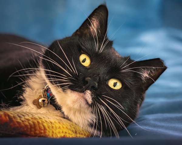 How has technology changed the way UK sports are played?